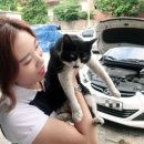만능카센타 이미지