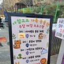 염소우리 | [내돈내산] 가평 아침고요가족동물원 후기｜아이와 먹이주기·아기염소 분유체험까지 알찬 주말 나들이