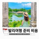 발리 여행 준비 비자 환전 4박 6일 인도네시아 발리 패키지여행 후기
