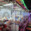 잼나오락실 이미지