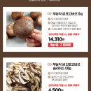 무농약 생표고버섯 1kg (하품) 8,550원 이미지