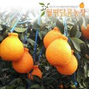 월평농장 이미지