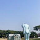 안산 경기도미술관 무료 전시회로 문화생활 즐겼어요 🖼