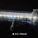 장일농장 이미지