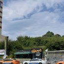 흥일목장 | [선자령] 서울 ➡️ 선자령 뚜벅이 백패킹, 횡계터미널 맛집