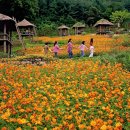 농업농촌테마마을 이미지