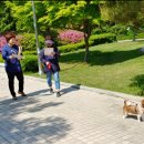 평택-안중-안중-11 이미지