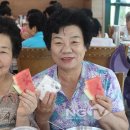 진도군노인복지관 이미지