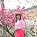 매화원