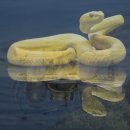 라도헤어뷰티 | 대구 퍼스널컬러 솔직한 진단 후기