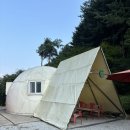 조형물C | 이글루 이색 펜션 원주 캠핑장 추천 포레스트돔 C돔 이용 후기