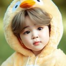 아미서가 이미지
