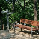 백운천 유원지 이미지