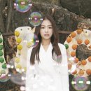 채원 이미지