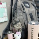 [문화여행] 제주 나 혼자 간다 | 밀린 계절의 조각들 (수원 영통 맛집, 광명시장, 화담숲 나들이)