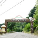 송이밸리자연휴양림 이미지