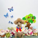 도토리 펫살롱 이미지