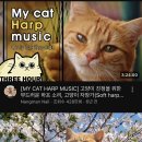 샤인모어 이미지