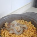 방파제 낚시 편의점 이미지