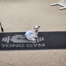 용짐 2호점 이미지