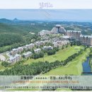 속초 여행 끝판왕! 델피노 호텔 추천 후기: 잊을 수 없는 속초 여행의 기억