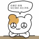 대호세탁 이미지