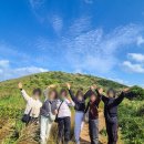 신례동로 | 제주도 승합차 투어 갓성비 제주 관광 후기