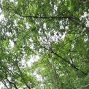 산막이약수터 이미지