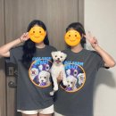 포리폼