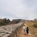 파사성 소나무 이미지