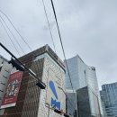 11545-11-00-24 | [아디다스] 러닝용 쇼츠 추가 구입 아디다스 오운더런 쇼츠(lV9962) 구매후기