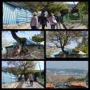 서천 남산성 이미지