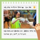 동물병원 위드 | 어린이 스포츠센터 위드퍼니와 함께 하는 토이 빌리지 대구혁신점 체험학습 방문후기 3탄 &lt;동물교감_1&gt;