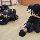 국술원 합기도 이미지