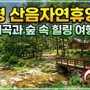 치유의숲야영장팬션 | 숲나들e 산음자연휴양림 예약 꿀팁 총정리 — 숲속의 집부터 명당 사이트까지