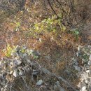 대한건재 이미지