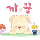 다솜골 이미지