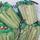 힐링가평오토캠핑장 이미지