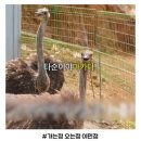 장식당 | 포항북구] 가보고싶었던 가성비 한우집, 편사장식당 다녀온 후기