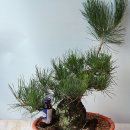 방죽골농장 이미지