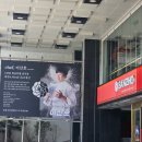 산조 아쿠아펠리스 이미지