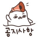 오늘 the 예쁜눈썹 이미지