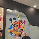 [월팸] 잠실지사 렛싱 수업 후기