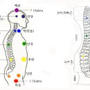 8. 동심(童心) : (차크라)진동수련 이미지