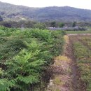 이용상 농장 이미지