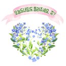 홍콩반점0410명일동점 | 기프티콘으로 먹은 홍콩반점0410 후기