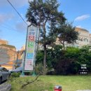 동산황토한증막 | 천안아산 아이와 가볼 만한 곳 놀이방 있는 찜질방 온양온천랜드