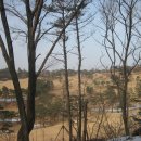 은화삼주유소 네이버블로그