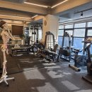 물리치료사의 바디포스쳐 PT | 내 몸에 딱 맞춘 1:1 맞춤 교정 시간 해운대체형교정, 물리치료사의바디포스쳐PT