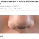 더쿠넷 웃긴 일톡 모음 이미지